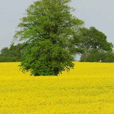 Berliner By Interhome Appartement