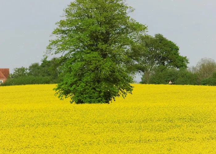 Berliner By Interhome Appartement